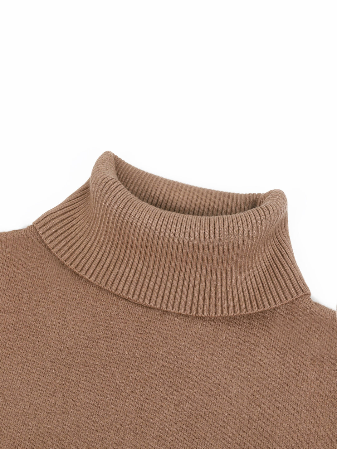 Selena | Cozy Lined High-Neck Sweater